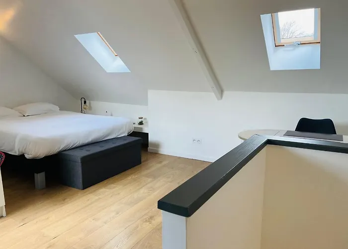 Opal'house Face Aux Remparts *